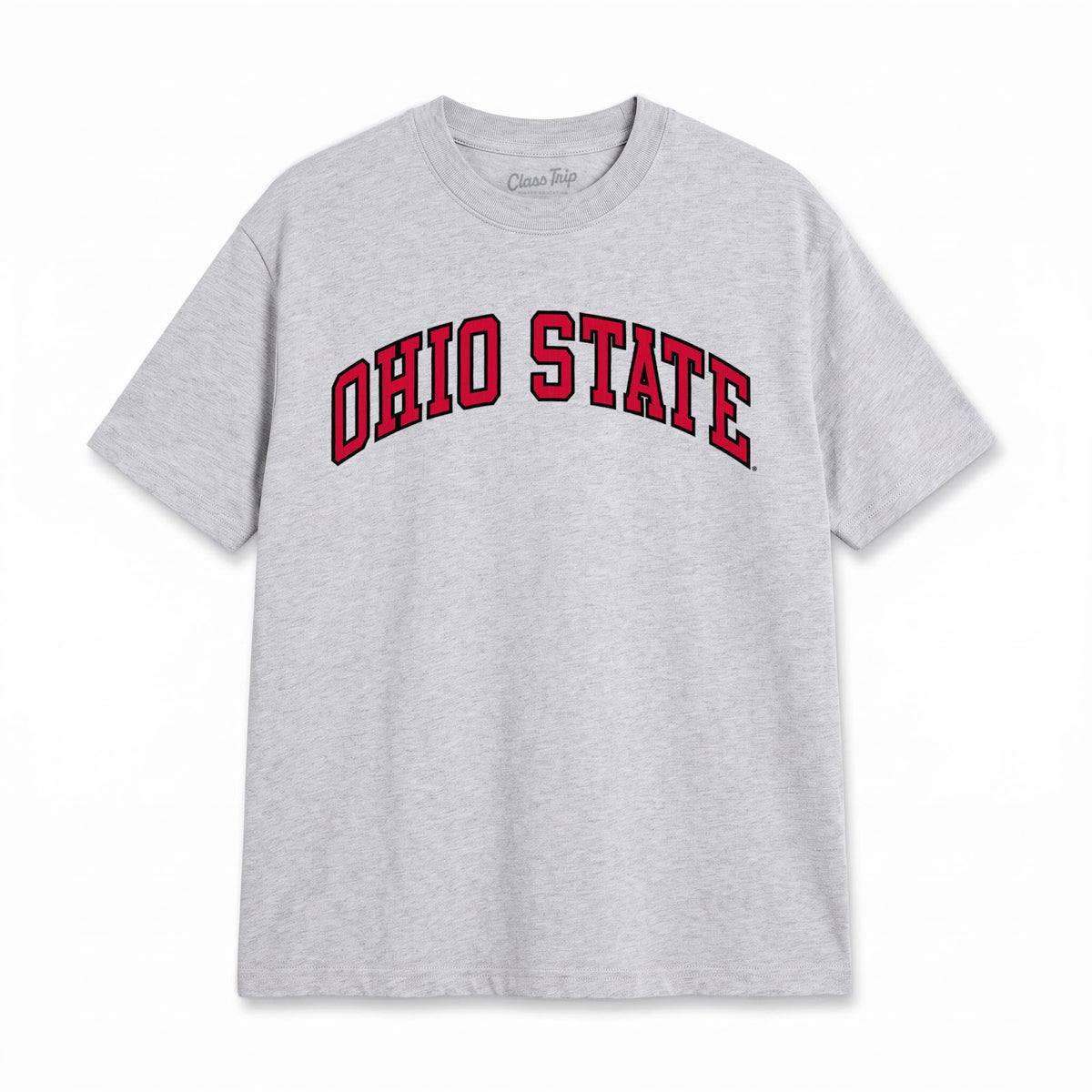 Ohio State Heavyweight Washed Campus Tee