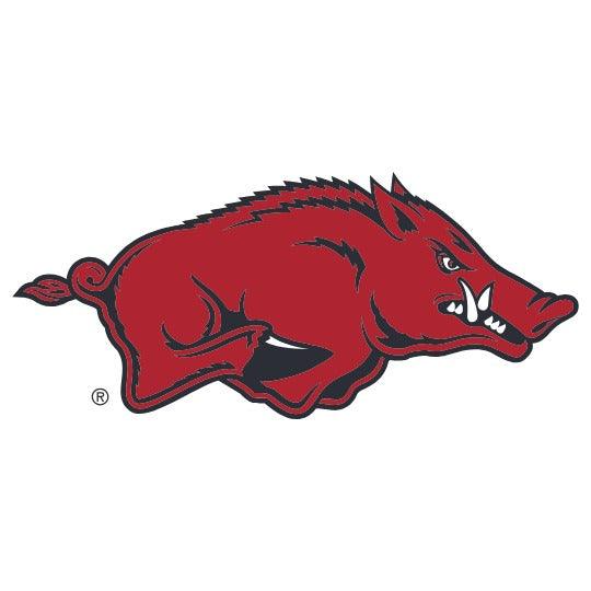 University of Arkansas