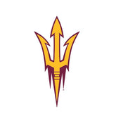 Arizona State University