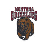 University of Montana