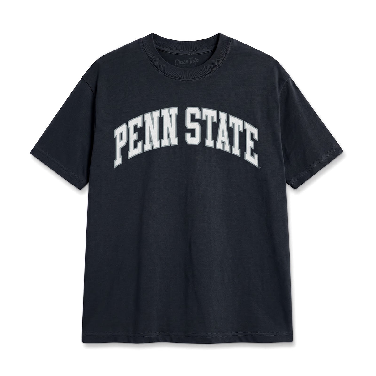 Penn State Heavyweight Washed Campus Tee
