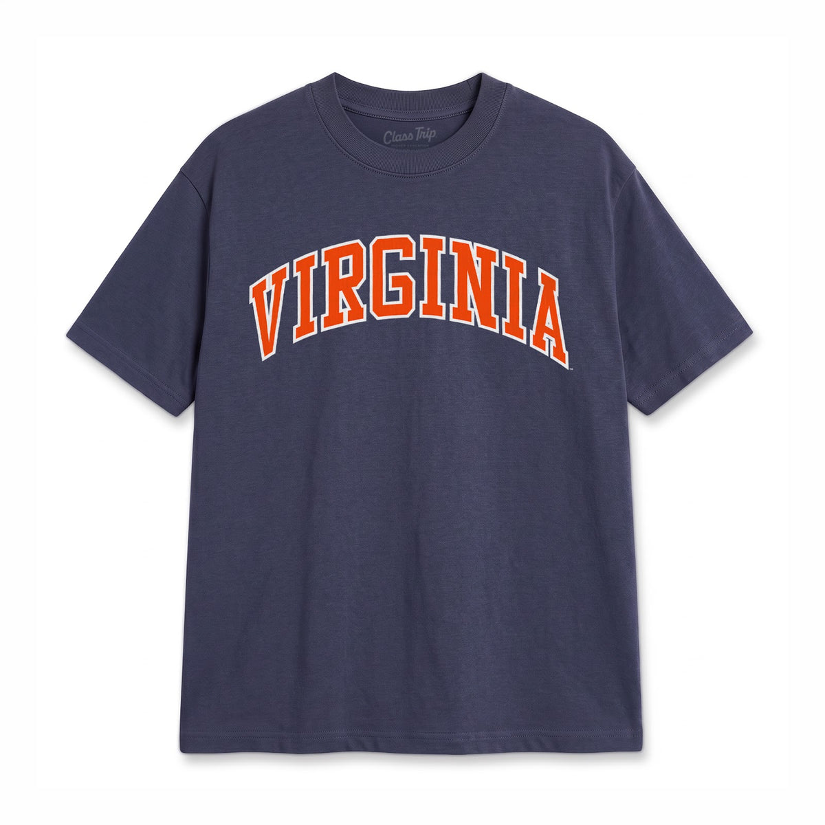 Virginia Heavyweight Washed Campus Tee