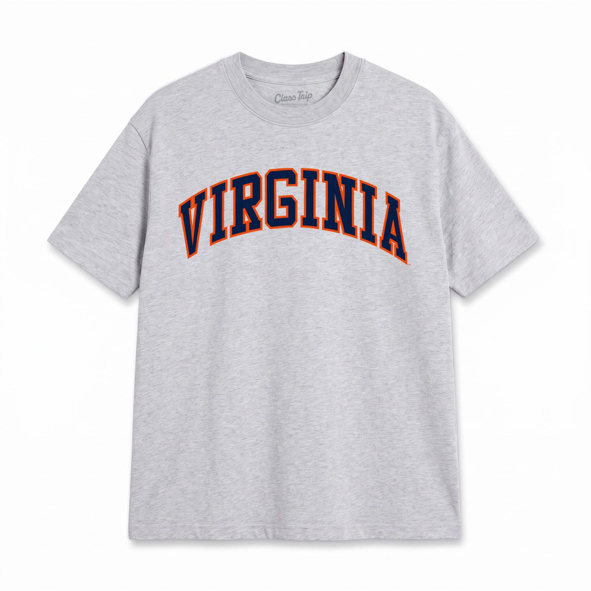 Virginia Heavyweight Washed Campus Tee