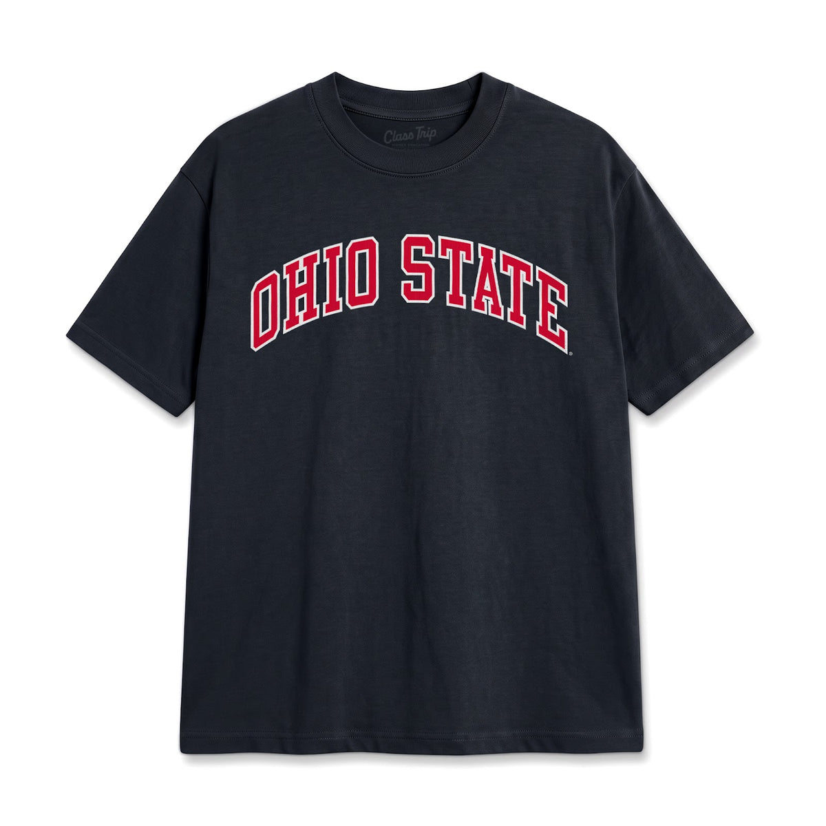 Ohio State Heavyweight Washed Campus Tee