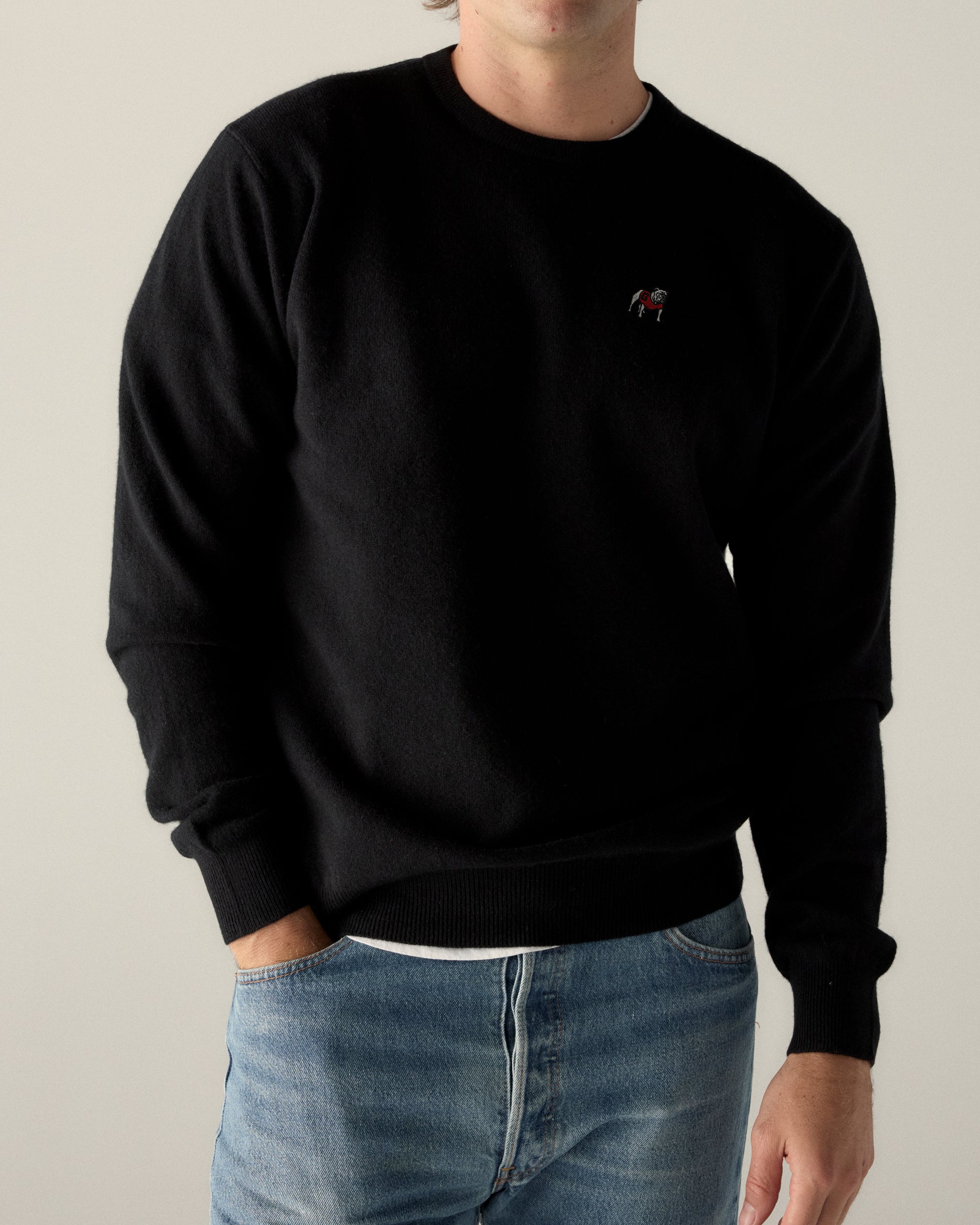 Georgia Men's Cashmere Crewneck Sweater | Class Trip