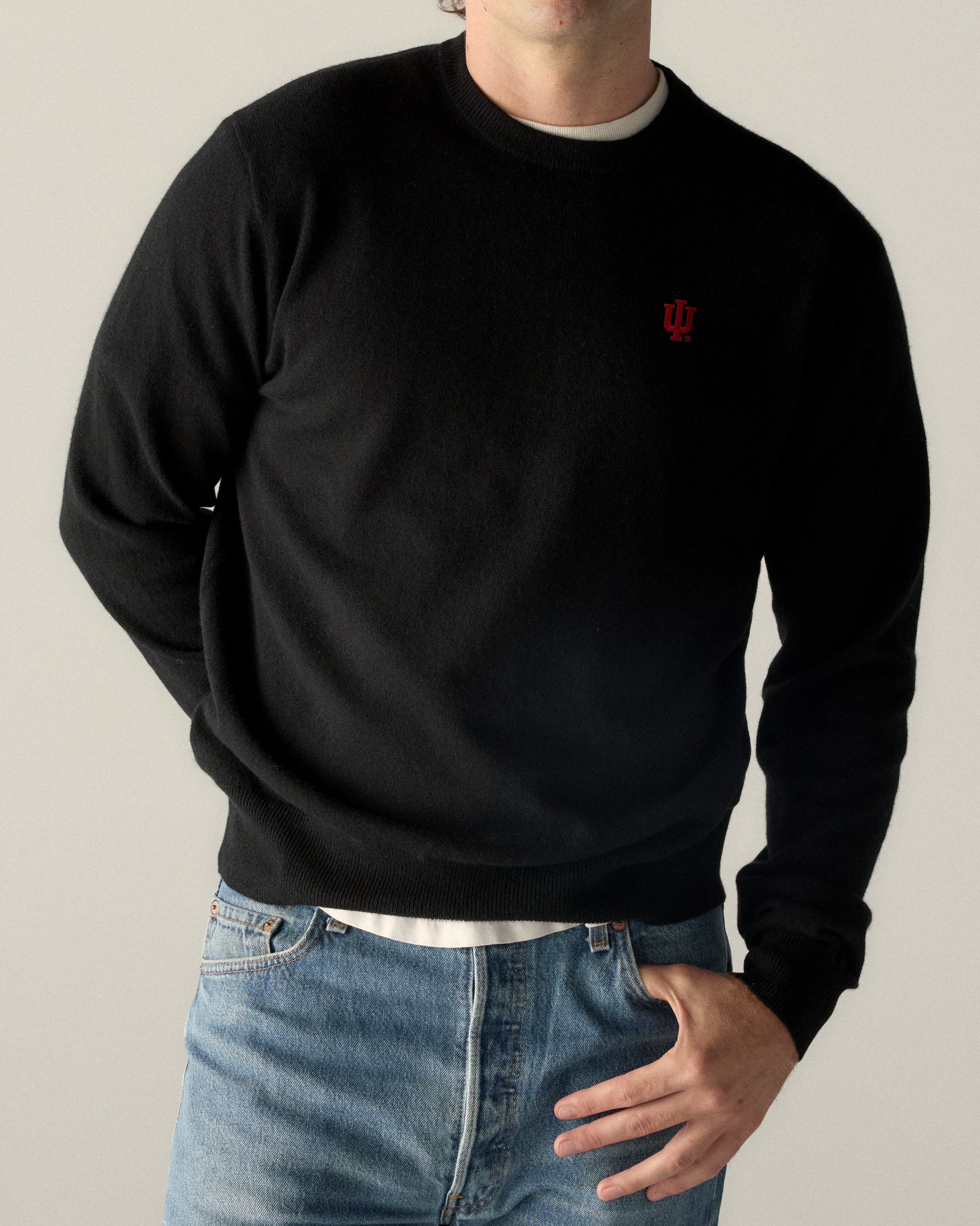Indiana Men's Cashmere Crewneck