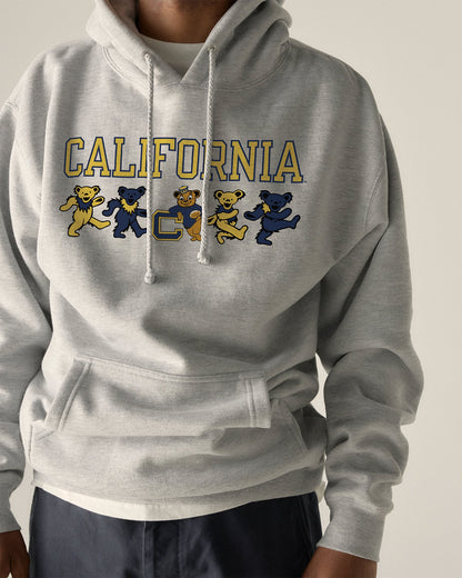 Model wearing the Heather Grey Cal Berkeley x Grateful Dead Mascot Bears Hoodie, front view. Class Trip | Higher Education