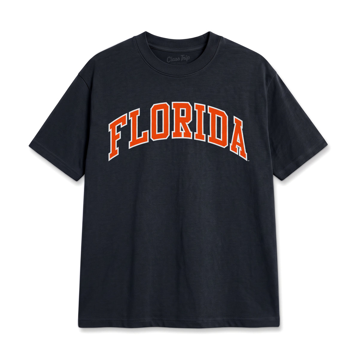 Florida Heavyweight Washed Campus Tee