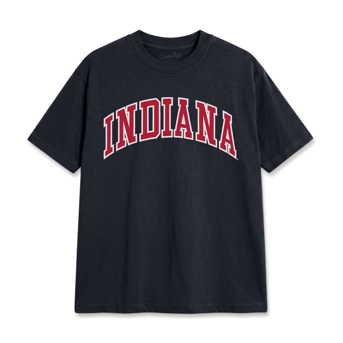 Indiana Heavyweight Washed Campus Tee