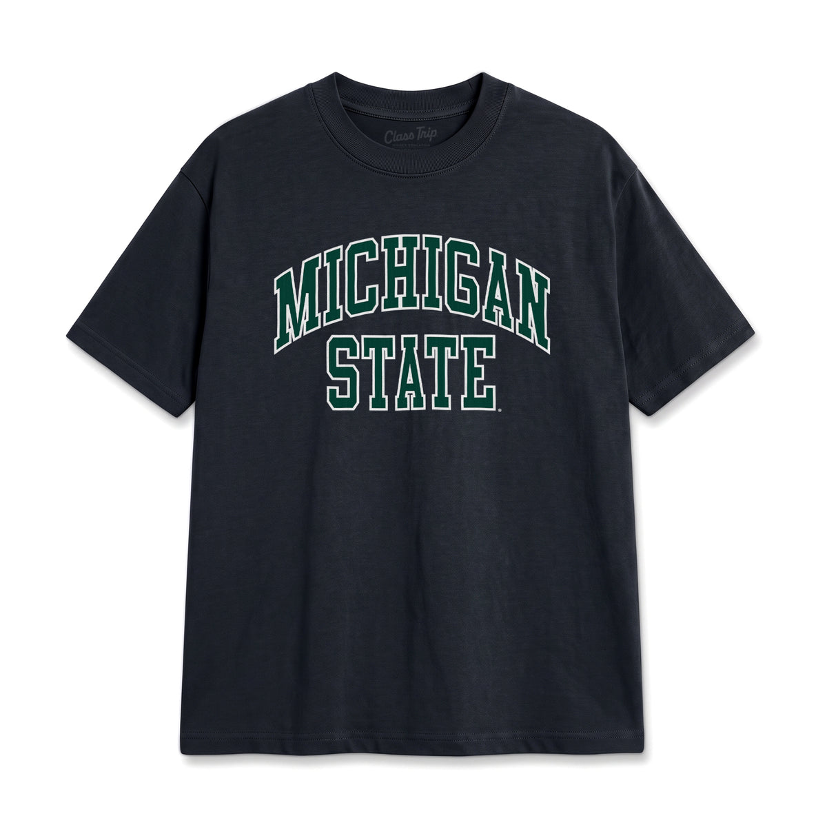 Michigan State Heavyweight Washed Campus Tee