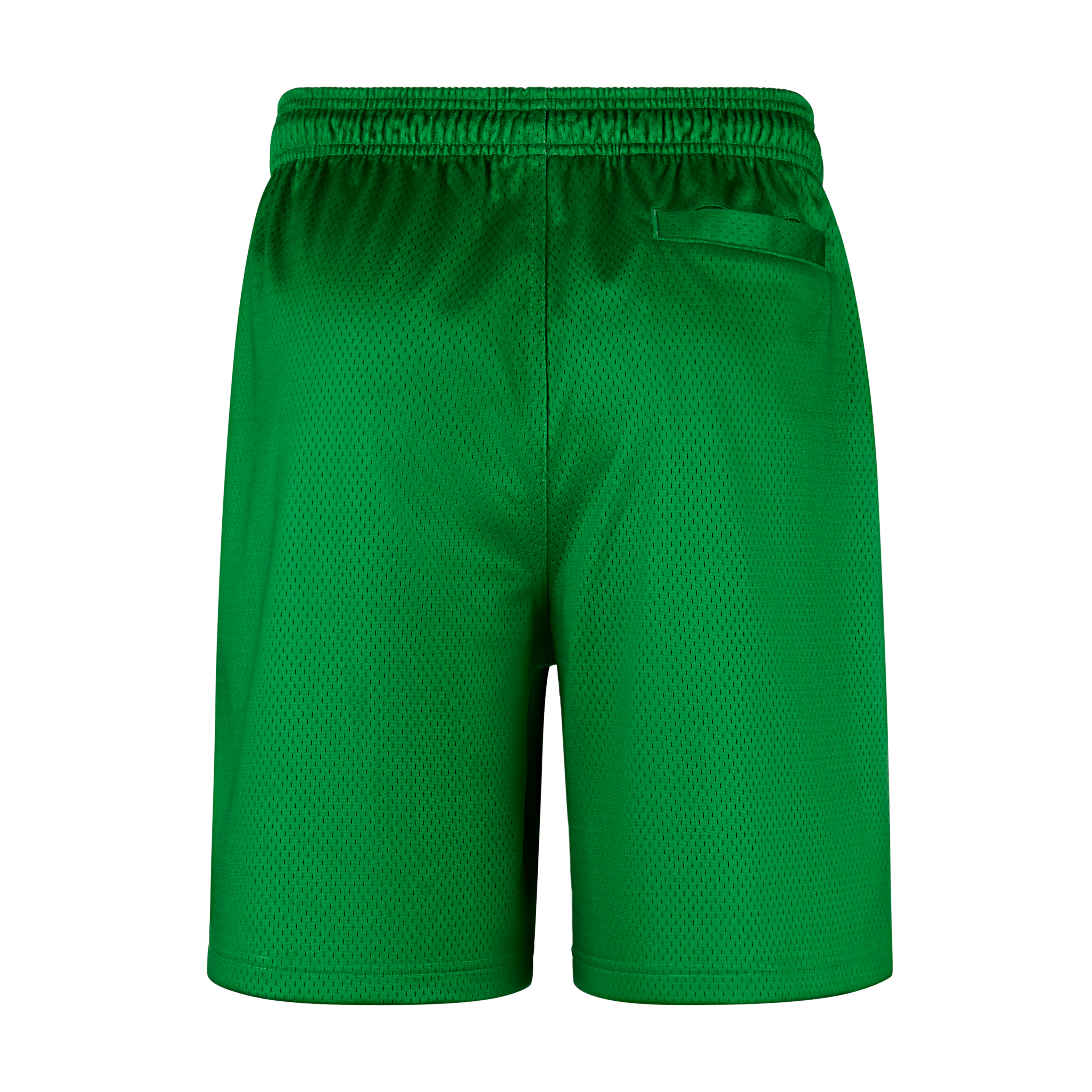 Nike x Class Trip x  Grateful Ducks Mesh Shorts
