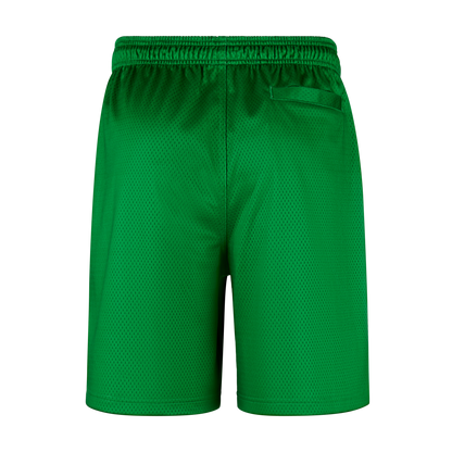 Nike x Class Trip x  Grateful Ducks Mesh Shorts