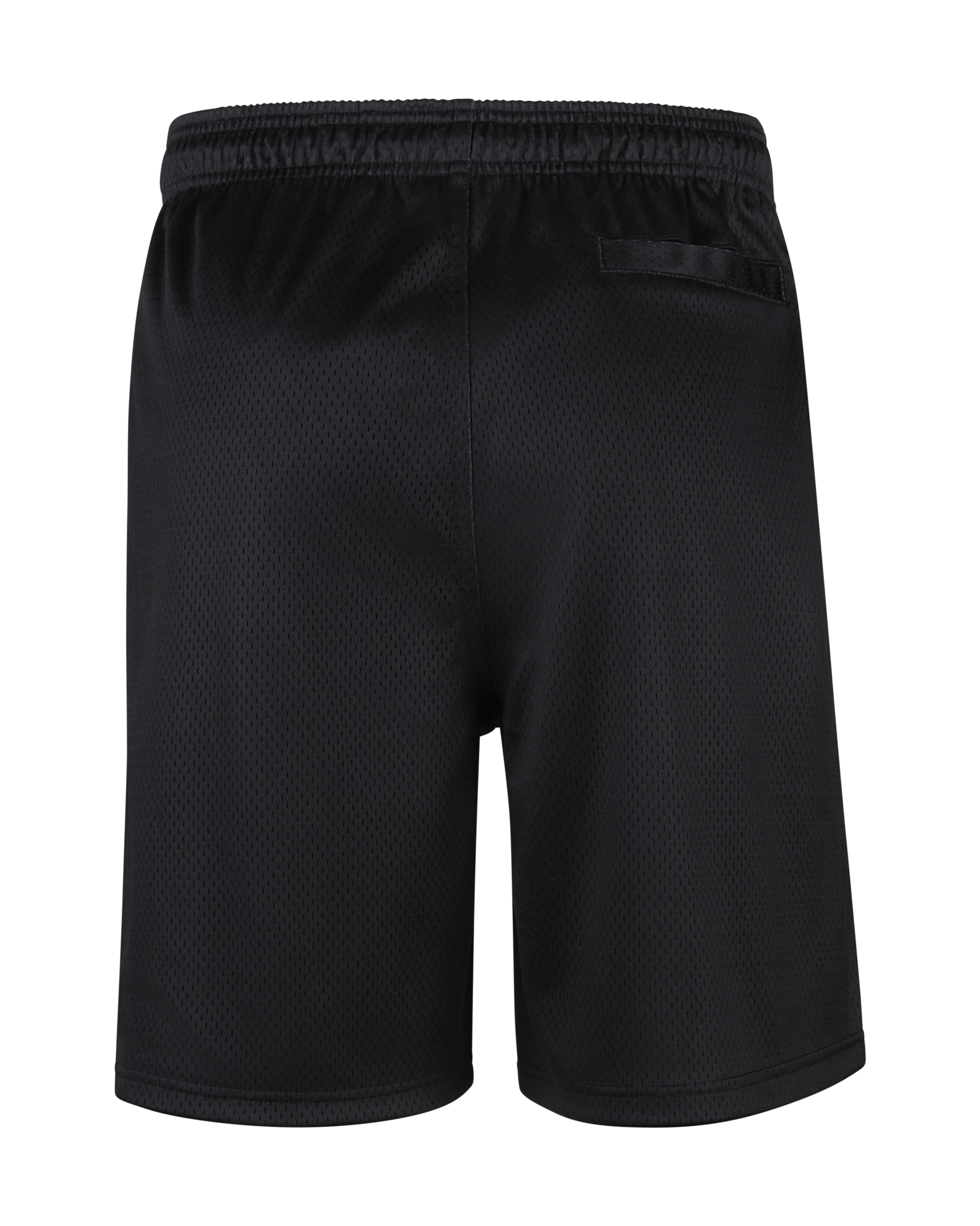 Nike x Class Trip x Grateful Dead x Oregon Steal Your Duck Mesh Shorts